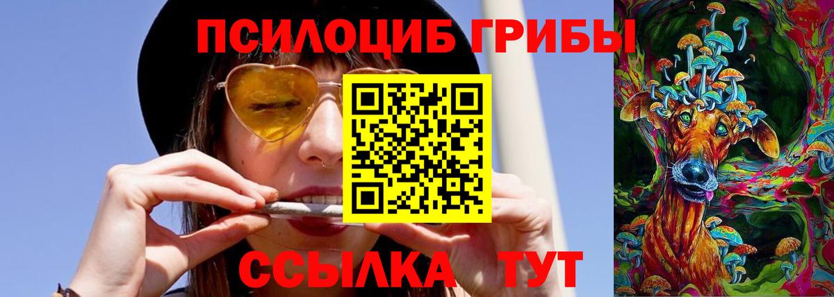 Галлюциногенные грибы GOLDEN TEACHER  Галлюциногенные грибы прущие грибы  Сафоново  Вход с VPN 